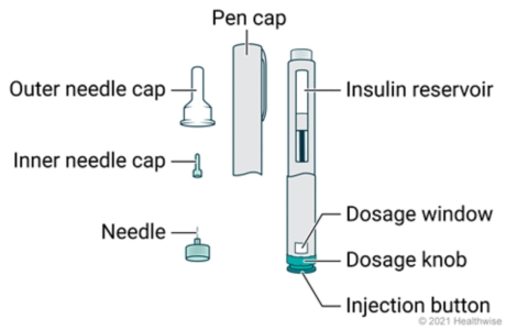 Insulin pen parts, including needle, inner and outer needle caps, pen cap, insulin reservoir, dosage window, dosage knob, and injection button.