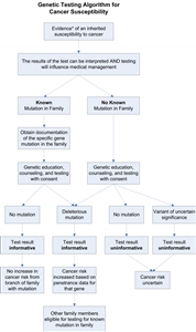Flowchart showing a multi-step genetic testing algorithm for testing for cancer susceptibility.