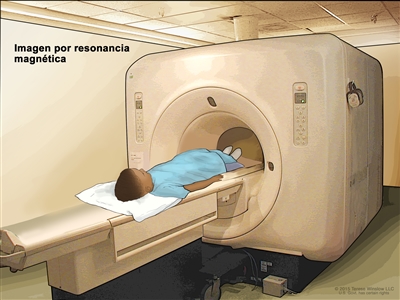 Imágenes por resonancia magnética (IRM) del abdomen; el dibujo muestra al niño en una camilla que se desliza hacia la máquina de IRM, la cual toma una radiografía de la parte interior del cuerpo. La almohadilla en el abdomen del niño ayuda a tomar imágenes más claras.