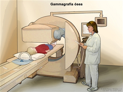 Gammagrafía ósea; en la imagen se observa un niño acostado sobre una camilla que se desliza debajo del escáner, un técnico que maneja el escáner y una pantalla que mostrará imágenes durante la exploración.