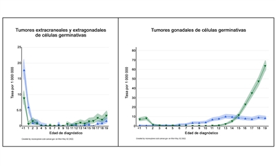 En la imagen se observan dos gráficos con los perfiles de incidencia por edad de los tumores extracraneales y extragonadales de células germinativas (gráfico de la izquierda) y de los tumores gonadales de células germinativas (gráfico de la derecha). Los hombres se representan con triángulos azules y las mujeres con triángulos verdes.