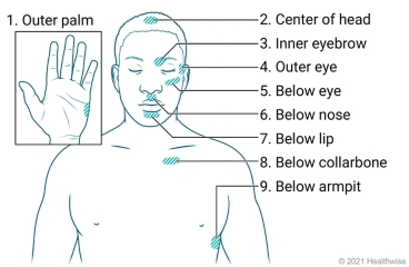 Location of the tapping points on the hand, head, and torso.