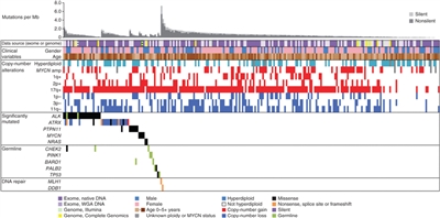 En el diagrama se muestra el panorama de las variaciones genéticas del neuroblastoma.