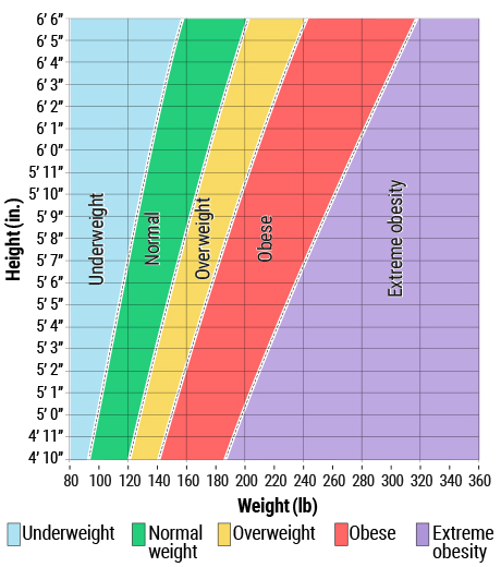 Healthy and overweight ranges in adults by height and weight