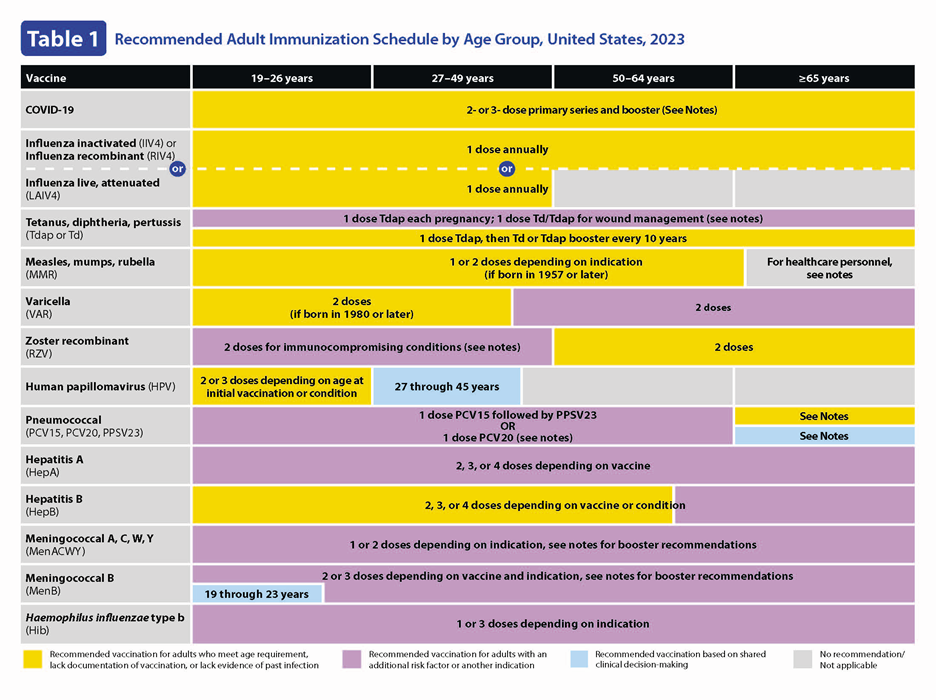 Adult Immunization Schedule Information