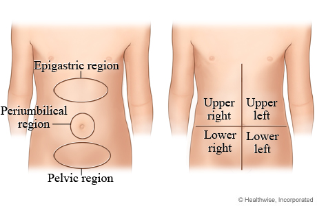 Abdominal quadrants and regions in a child