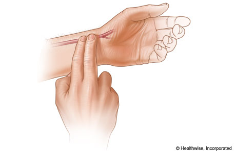 Cómo tomarse el pulso en el lado del pulgar de la muñeca usando los dedos índice y mayor de la otra mano