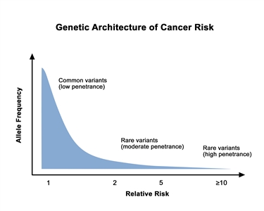 Genetics Of Breast And Gynecologic Cancers (PDQ®): Genetics - Health ...