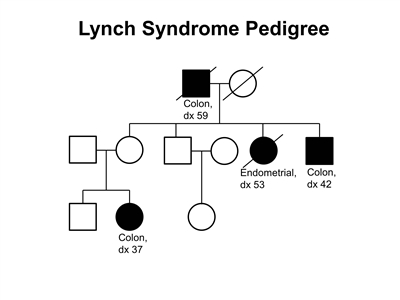 Pedigree showing some of the classic features of a family with Lynch syndrome across three generations, including transmission occurring through maternal and paternal lineages and the presence of both colon and endometrial cancers.