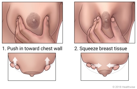 Position of hand on breast, with top views showing how to push in and squeeze breast