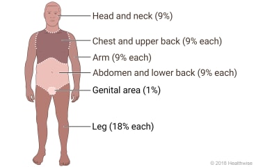 Body Part Percentage