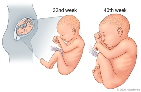 Normal pregnancy: Third trimester