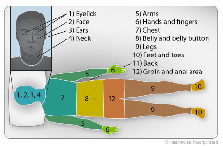 Zones, in order: Face, neck, arms, chest, belly, legs, back, and groin and anal areas.