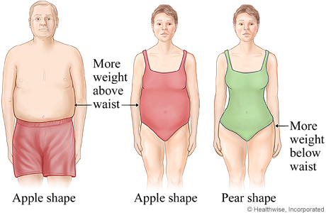 Apple and pear body shapes - Mayo Clinic