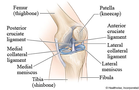Patellar Tracking Disorders, Knee, Health