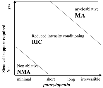 Figure 3; chart shows classification of conditioning regimens based on duration of pancytopenia and requirement for stem cell support; chart shows myeloablative regimens, nonmyeloablative regimens, and reduced intensity regimens.