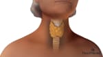 Parathyroidectomy: Before Your Surgery