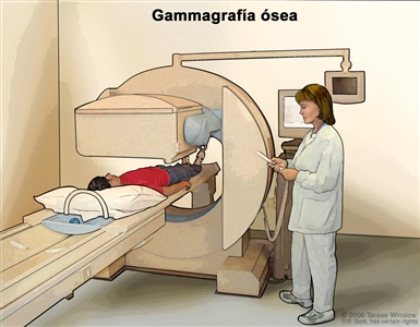 Gammagrafía ósea. En el dibujo se observa a un paciente acostado en una camilla que se desliza a medida que un escáner le toma imágenes, además se ve a una técnica que controla el escáner y una pantalla que mostrará las imágenes creadas durante la exploración.