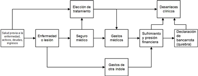 Diagrama que muestra el marco conceptual relacionado con una enfermedad grave, la elección de tratamiento y los desenlaces clínicos y financieros.