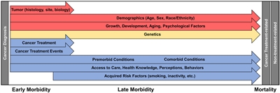 En el diagrama se observan los factores que influyen en la morbilidad y la mortalidad del sobreviviente de cáncer infantil.