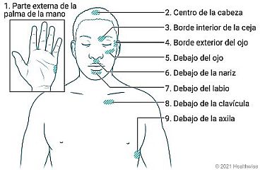 Ubicación de los puntos de golpeteo en la mano, la cabeza y el torso.