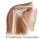 Articulación del hombro