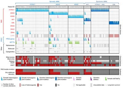 En el diagrama se muestran los perfiles de alteraciones en casos individuales de LMMJ.