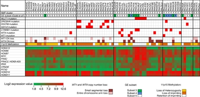 Chart showing unsupervised analysis of gene expression data for clinically distinctive favorable histology Wilms tumor.