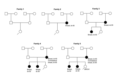 Five pedigrees are shown depicting probands with varying degrees of family history of breast cancer ranging from no affected first-degree relatives and no known BRCA mutation in the family (family 1) to three affected first-degree relatives, including one relative with bilateral breast cancer, and a known BRCA1 mutation in the family (family 5).