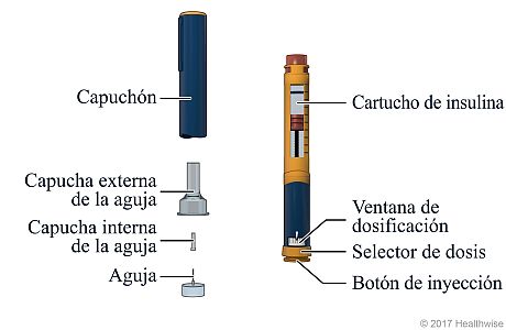 Pluma de insulina, con cada parte etiquetada