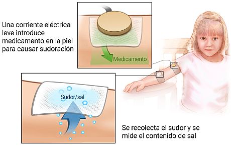 Imagen del procedimiento de prueba de sudor