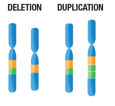 chromosomes with missing or extra pieces