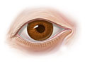 h9991343_005tt