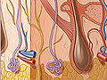 h9991363_006tt