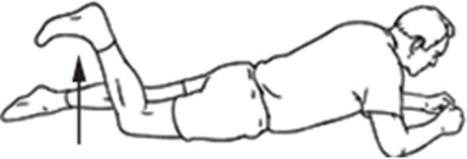 lying on stomach knee bend