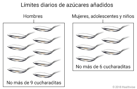 Límites diarios de azúcar añadida para hombres, mujeres, adolescentes y niños, representados en cucharaditas