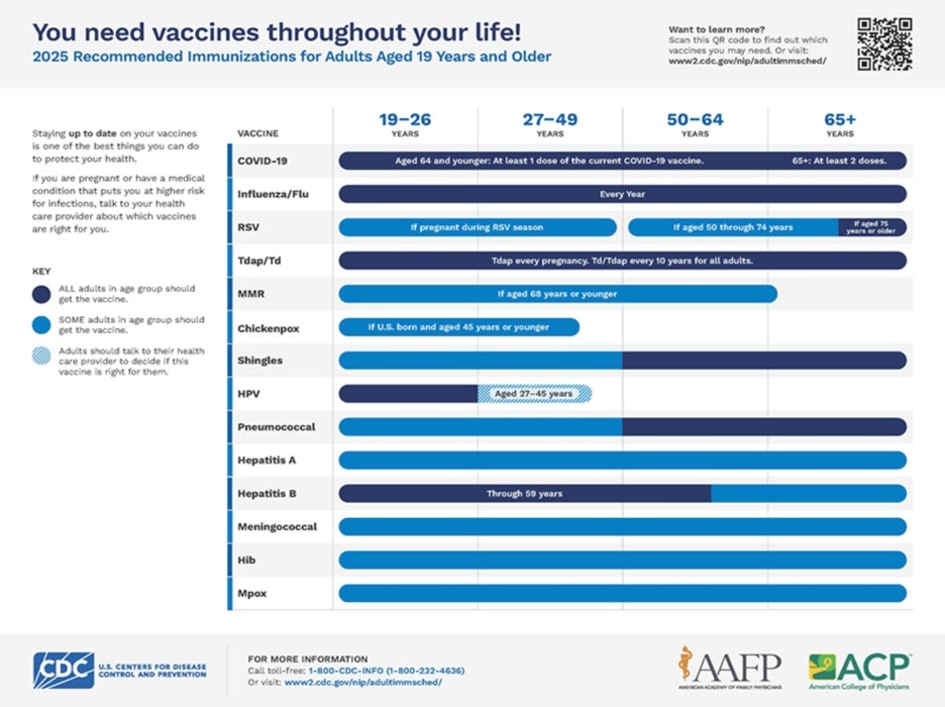 CDC adult immunization schedule, easy-to-read version.