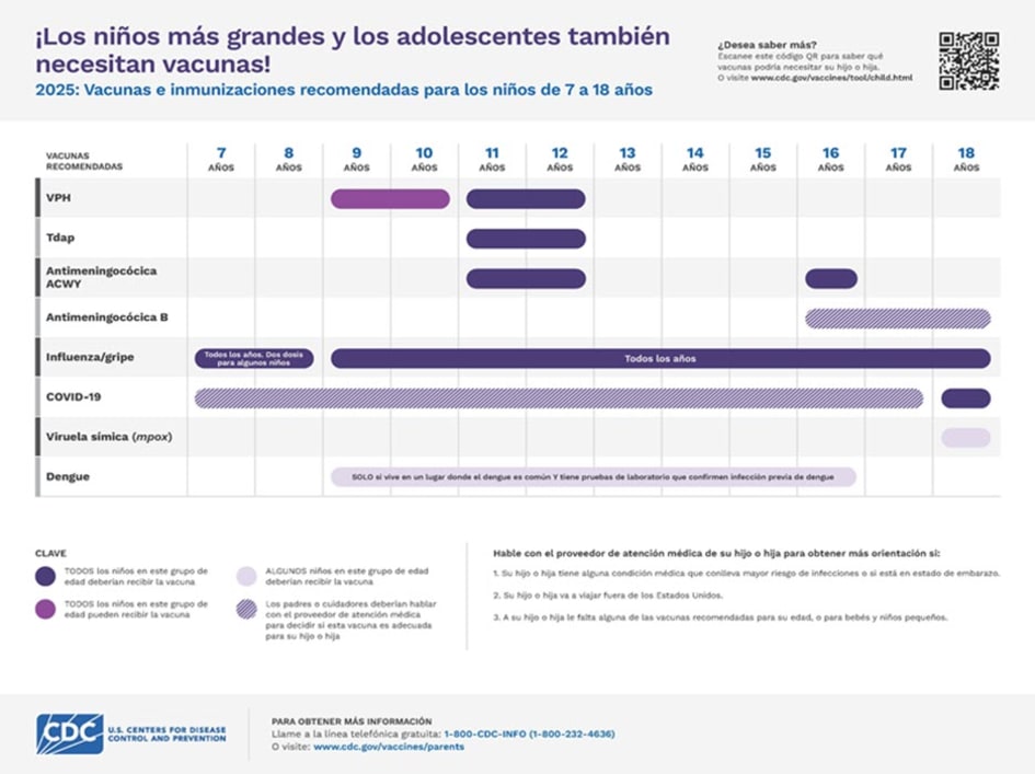 Vacunas recomendadas para los niños desde los 7 hasta los 18 años de edad (página 1)