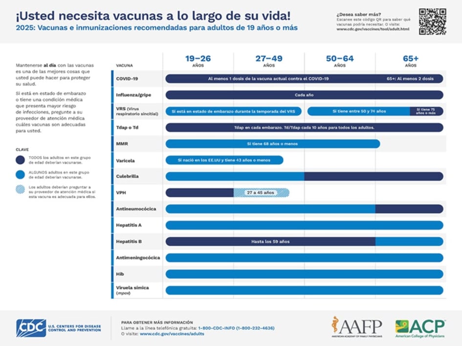 Calendario de vacunación para adultos de los CDC, versión fácil de leer.